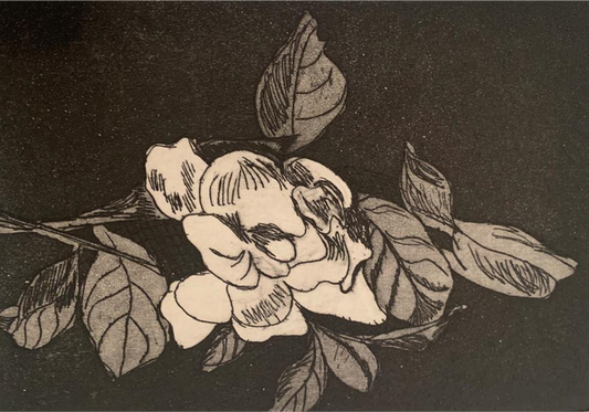 Greeting Card - Etching - Gardenia in Black and White